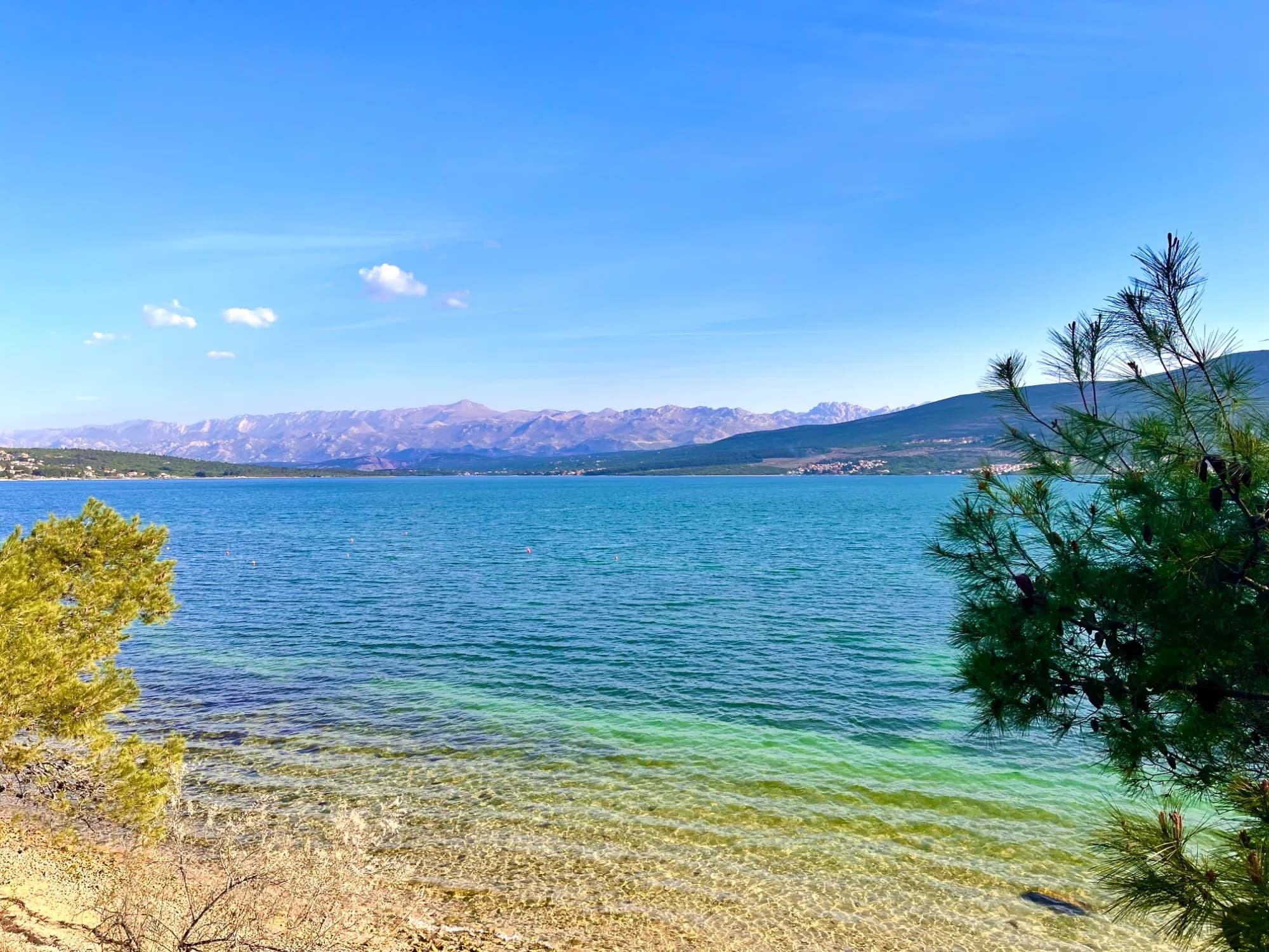 Bucht mit Pinie im Vordergrund und türkisfarbenem Wasser